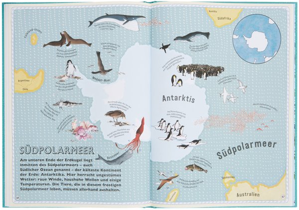 Der Atlas der Ozeane